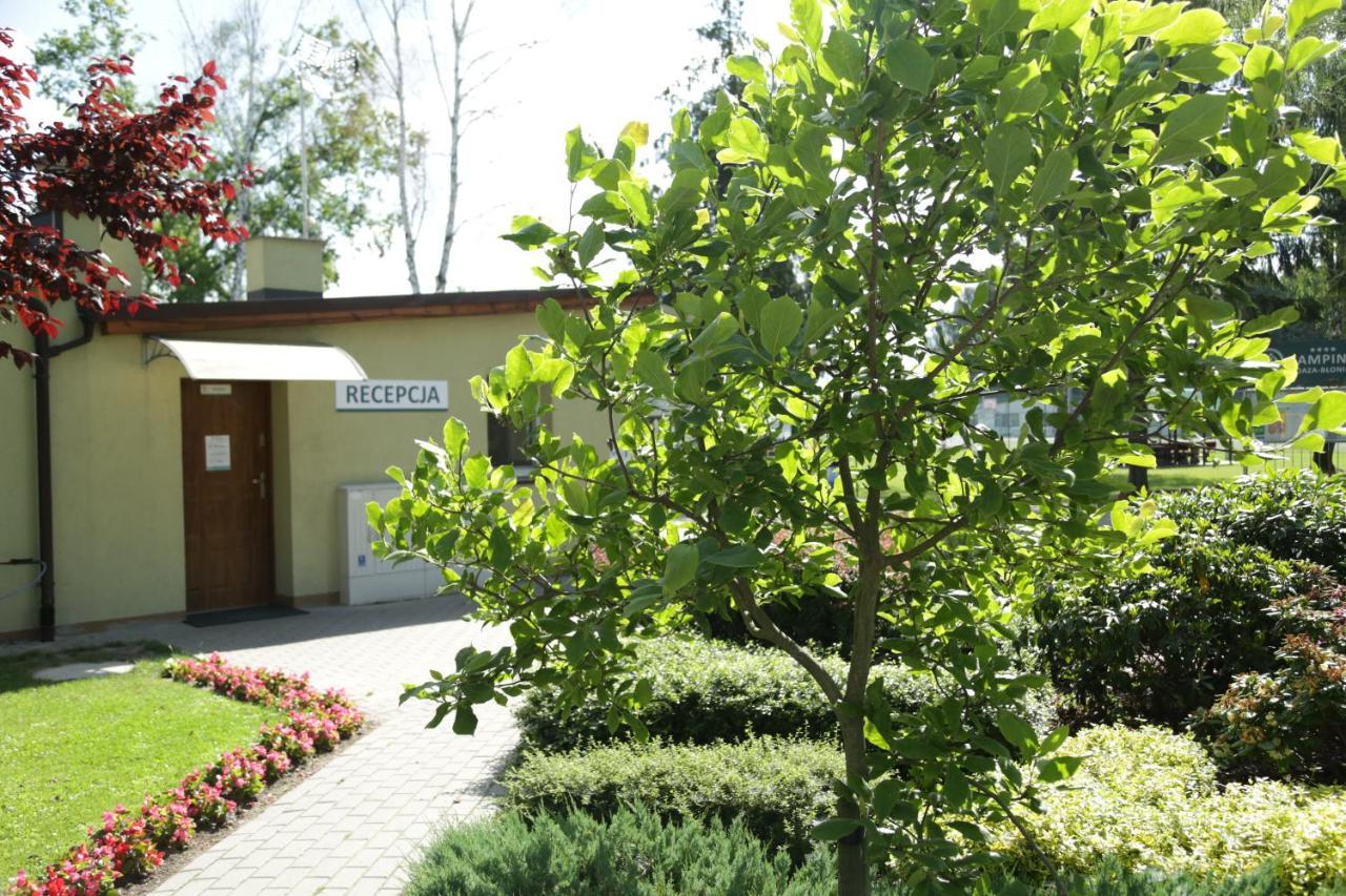 Oaza Blonie Standard - 3 * Kornik