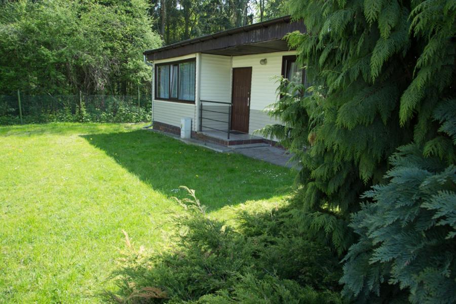 Oaza Blonie Standard - 3